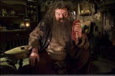 Quel acteur joue le rôle d'Hagrid ?