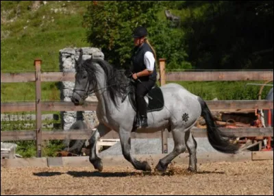 Ses ancêtres proviendraient de