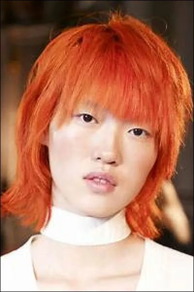 La couleur de cheveux que vous préférez est :