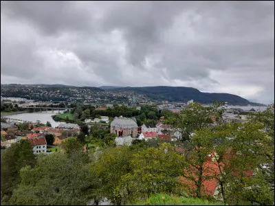 C'est la troisième ville de Norvège et elle se situe au centre du pays.
