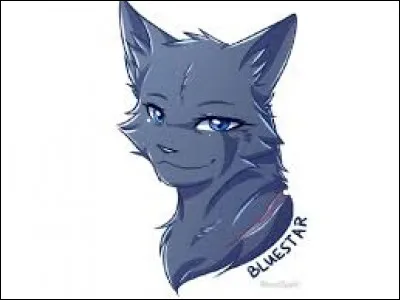 Quel était son nom de chaton ?