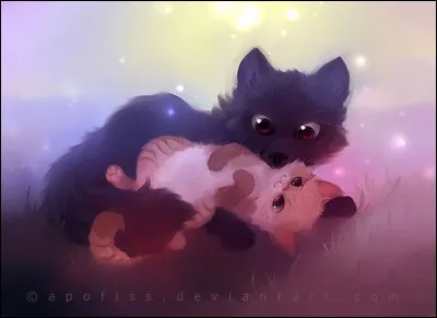 Combien a-t-elle eu de chatons ?