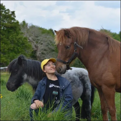 Comment s'appelle la chaine de cette propriétaire de plusieurs chevaux et poneys ?