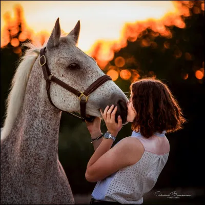 Quel est le nom de celle-là, créée par une cavalière propriétaire d'un connemara ?