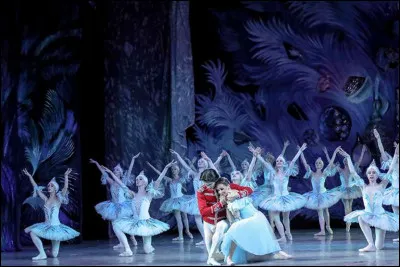 Quel est le nom de ce ballet ?
