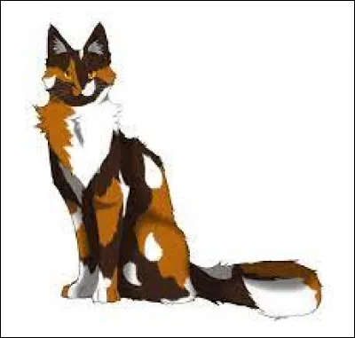 Qui était guérisseur après elle ?