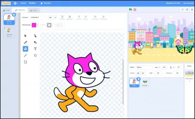 Quel est ce logiciel qui permet de faire des algorithmes amusants, facilement sur un ordinateur ?