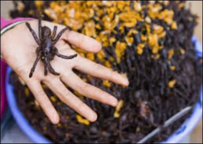 Quelle ville a la plus grande production d'araignées frites ?