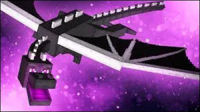 Que drope l'Ender Dragon ?