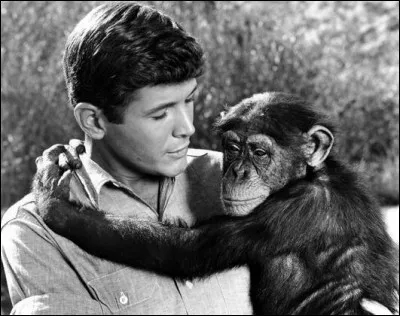 Comment s'appelle la guenon dans la série "Daktari" ?