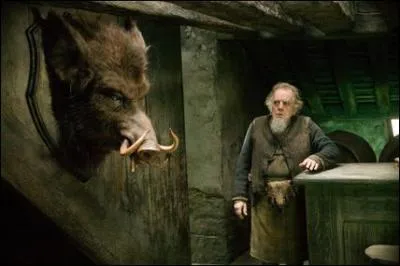 Quel est le patronus de Abelforth Dumbledore ?