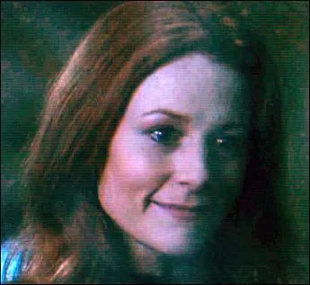 Quel tait le patronus de Lily Evans ?