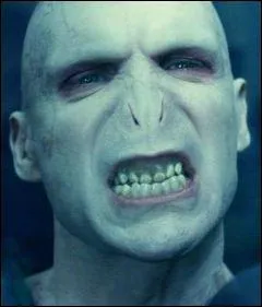 Quel est le patronus de Lord Voldemort ?
