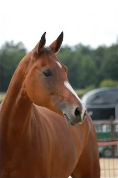 C’est le croisement entre…