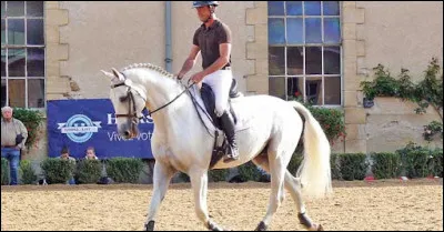 En Sardaigne, l’anglo-arabe a un autre nom c’est…