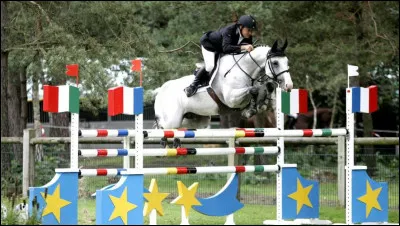 L’anglo-arabe est pour…