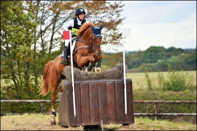 Cette race excelle en�