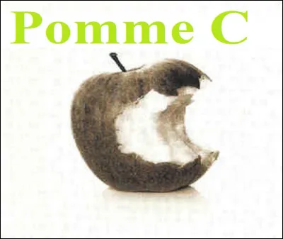 ''Pomme C'' est le quatrième album de quel chanteur bassiste ?