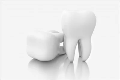 Vers lâge de 6 ans (environ), nos dents de lait commencent à :