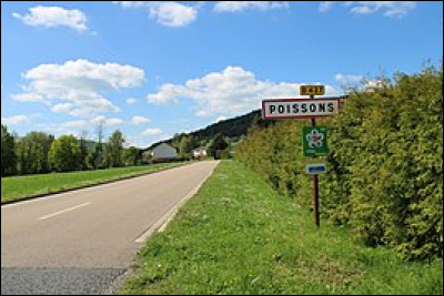 Avec quelle ville Poissons est-elle jumelée ?