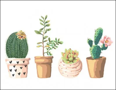 L'image qui le décrit le mieux, est :