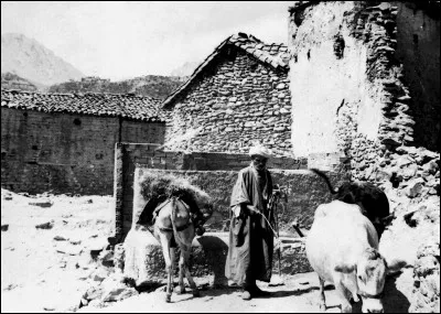 La loi Warnier de 1873 porte sur un enjeu central de la période coloniale : lequel ?