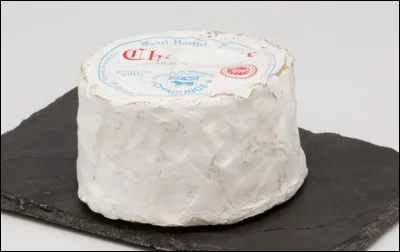 Quel est ce fromage au lait de vache à pâte molle salée et à la croûte fleurie de fines moisissures, une spécialité qui doit son nom à un village de L'Aube ?