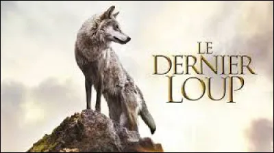 Qui a réalisé le film "Le Dernier Loup" ?