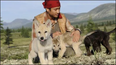 Quel metteur en scène a réalisé le drame "Loup" ?