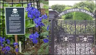 Dans quel pays peut-on visiter "The Poison Garden", le jardin le plus dangereux du monde ?