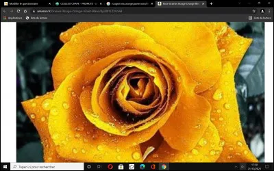 Quelle est ta couleur préférée ?