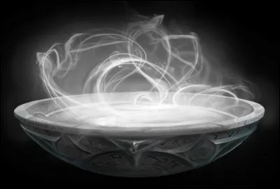 Comment s'appelle cette bassine ?