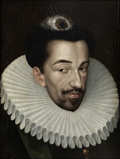 Henri III (1551-1589) a fait tuer 30 000 chats pendant son règne car il était atteint d'ailurophobie.