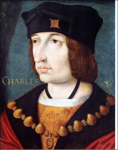 Charles VIII (1470-i498) est mort accidentellement en se heurtant la tête dans le linteau d'une porte basse du château d'Amboise alors qu'il se rendait à une partie de jeu de paume.