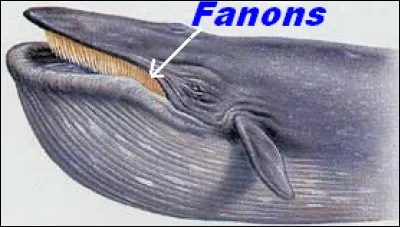 A connu des pépins au cinéma !