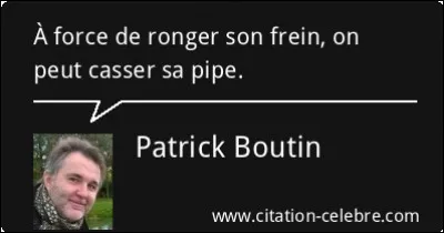 Fan des starlettes au haras !