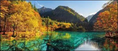 Tu aimes les paysages...