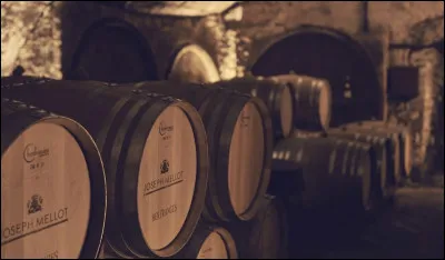 Quel processus permet de transformer le jus de raisin en vin ?