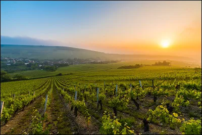 Combien d'appellations dénombre-t-on en Centre-Loire ?