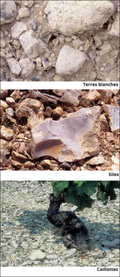 Dans les vignobles sancerrois, combien de types de sols retrouve-t-on ?