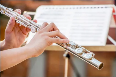 - Quel cours avons-nous maintenant ?
- Nous avons musique.