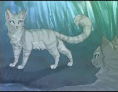 Comment s'appelle la compagne de Plume Grise ?