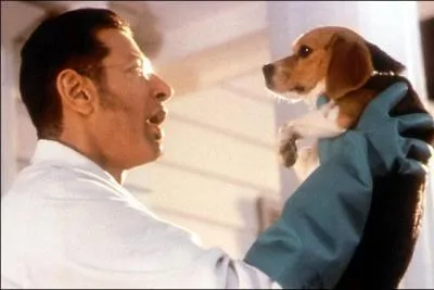 De quel film s'agit-il ?