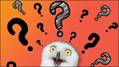 Comment as-tu découvert Quizz.biz ?