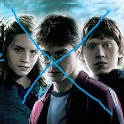 Quelle maison aimes-tu le moins ?