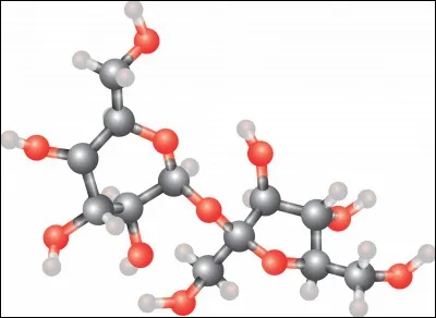 Et cette molécule-ci, quelle est sa formule ?