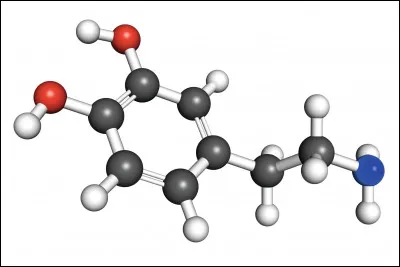 Pour finir, quelle est la formule de cette dernière molécule ?