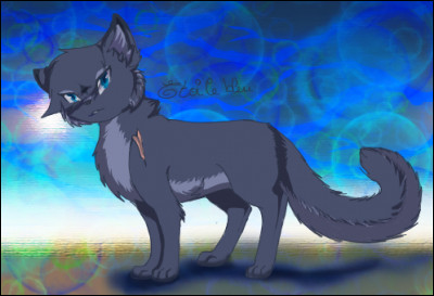 &Eacute;toile Bleue est une ancienne chef du Clan du Tonnerre, entre &Eacute;toile du Soleil et &Eacute;toile de Feu.