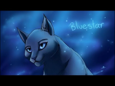 Elle est n&eacute;e de Fleur de Lune et Plume de Temp&ecirc;te, sous le nom de Petit Bleuet.