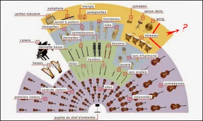 Voici le plan de disposition traditionnel d'un orchestre symphonique. Que trouverait-on logiquement au fond à droite, derrière les timbales ?